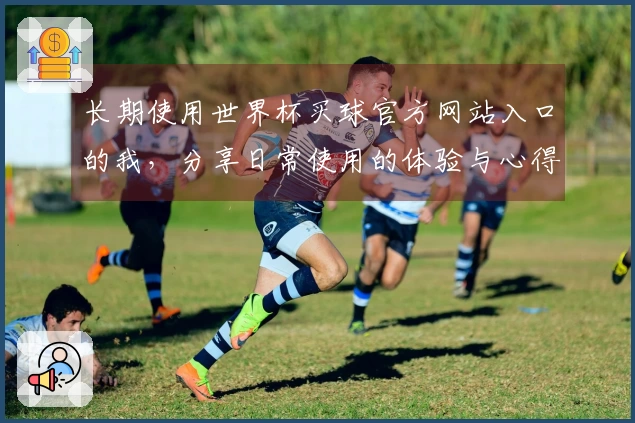 长期使用世界杯买球官方网站入口的我，分享日常使用的体验与心得