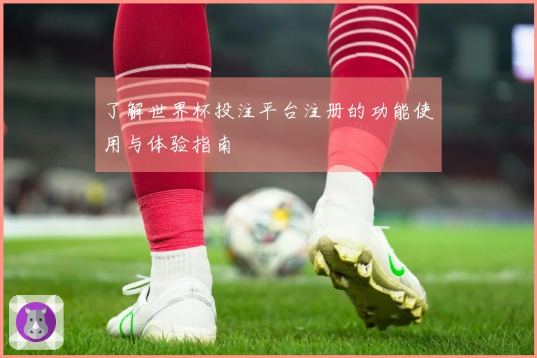 了解世界杯投注平台注册的功能使用与体验指南