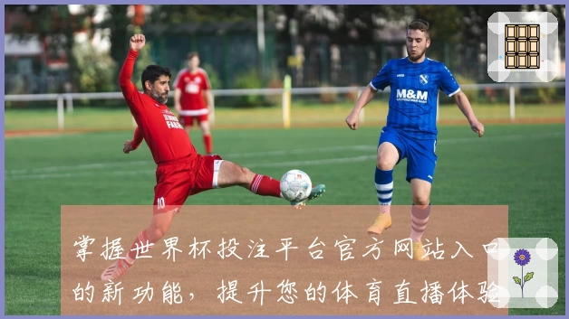 掌握世界杯投注平台官方网站入口的新功能，提升您的体育直播体验